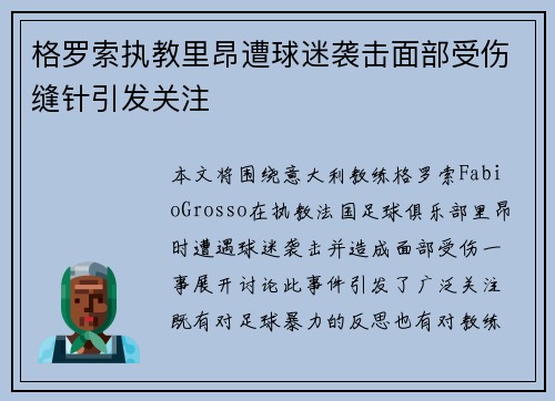 格罗索执教里昂遭球迷袭击面部受伤缝针引发关注 格罗索执教里昂遭球迷袭击面部受伤缝针引发关注